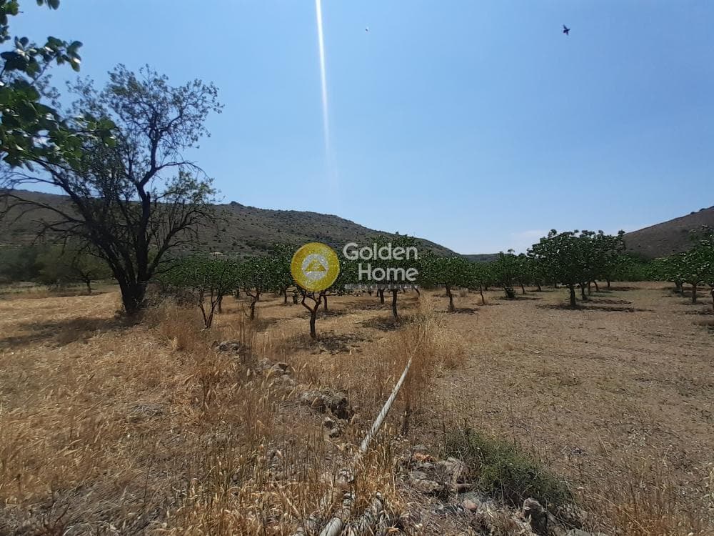 Building Plot in Kontos, Aegina — Photo 4 of 5