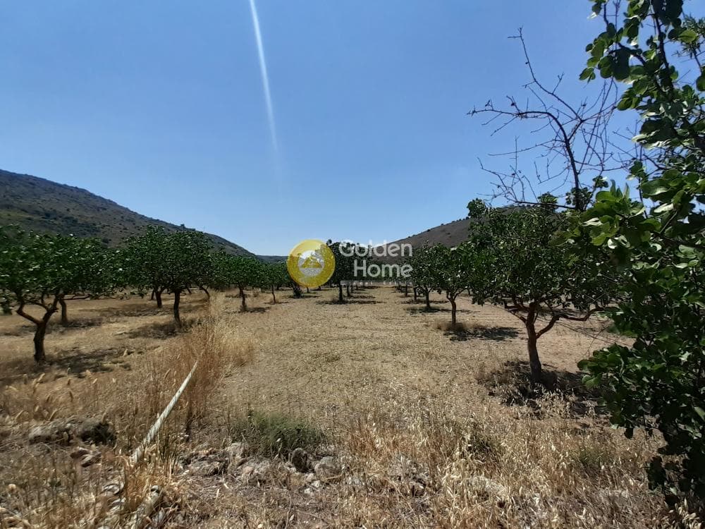 Building Plot in Kontos, Aegina — Photo 5 of 5