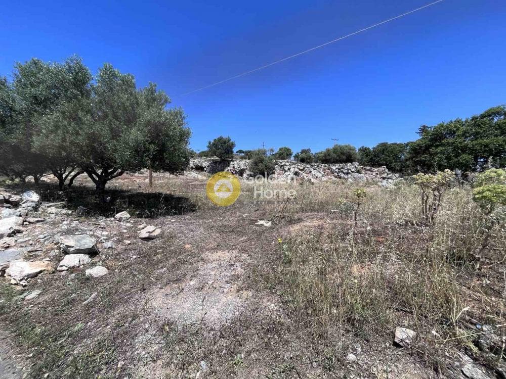 Οικόπεδο στην Μοχός, Μάλλια — Φωτογραφία 6 από 15