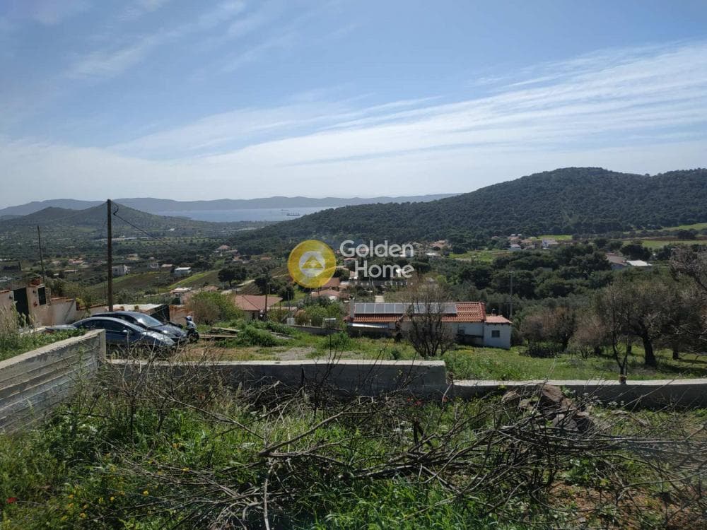 Αγροτεμάχιο στην Μαρκάτι, Λαύριο — Φωτογραφία 5 από 8