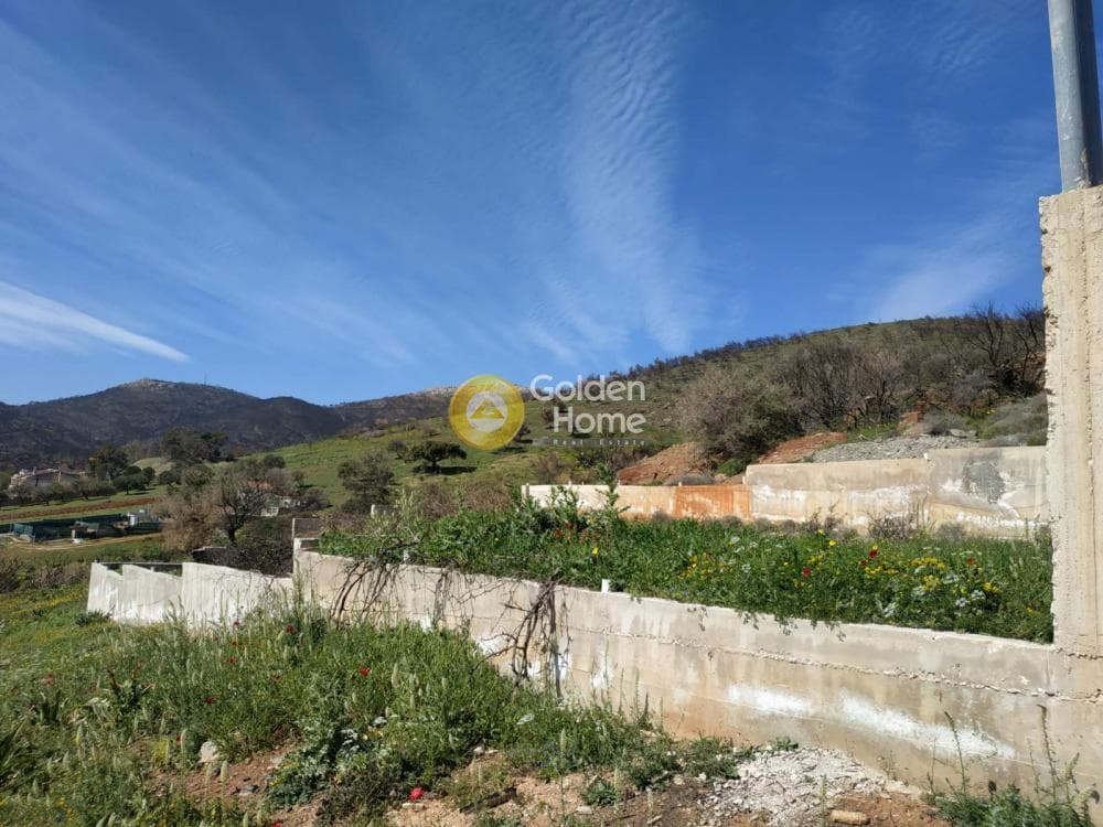 Αγροτεμάχιο στην Μαρκάτι, Λαύριο — Φωτογραφία 1 από 8