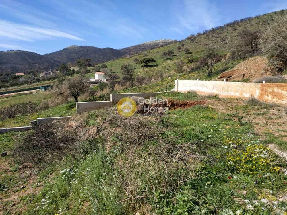 Αγροτεμάχιο στην Μαρκάτι, Λαύριο — Φωτογραφία 2 από 8