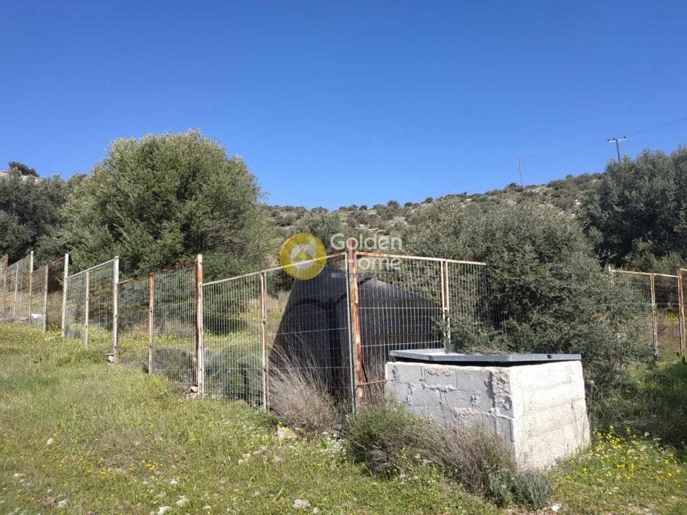 Αγροτεμάχιο στην Θορικό, Λαύριο — Φωτογραφία 3 από 8