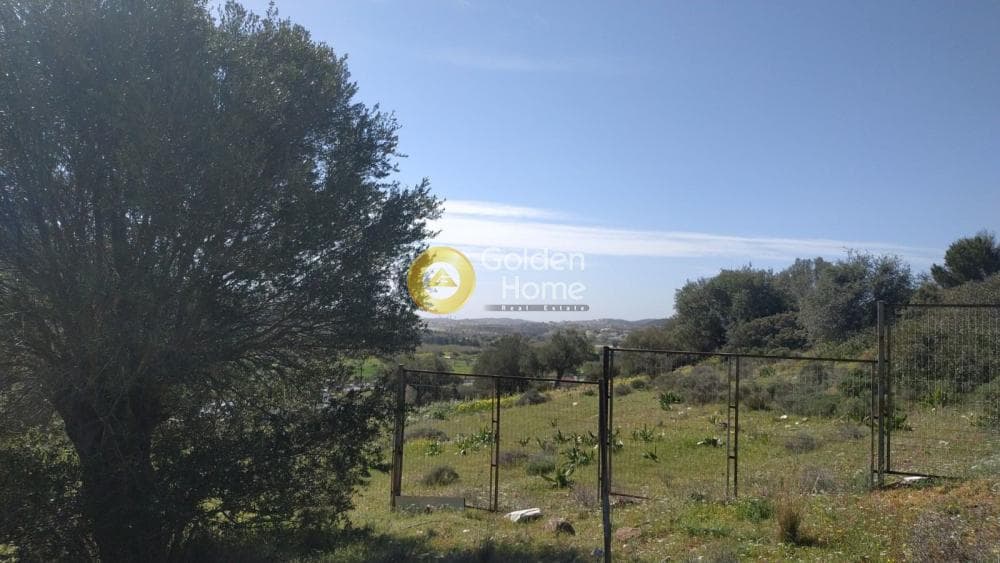 Αγροτεμάχιο στην Θορικό, Λαύριο — Φωτογραφία 2 από 8