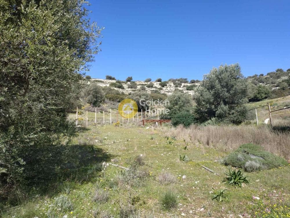 Αγροτεμάχιο στην Θορικό, Λαύριο — Φωτογραφία 1 από 8