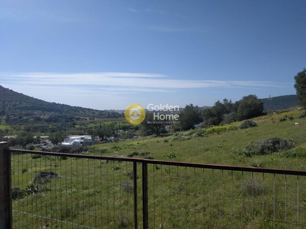 Αγροτεμάχιο στην Θορικό, Λαύριο — Φωτογραφία 4 από 8