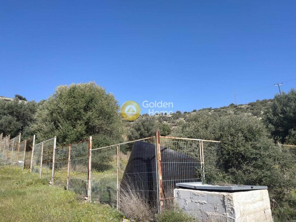 Αγροτεμάχιο στην Θορικό, Λαύριο — Φωτογραφία 6 από 8