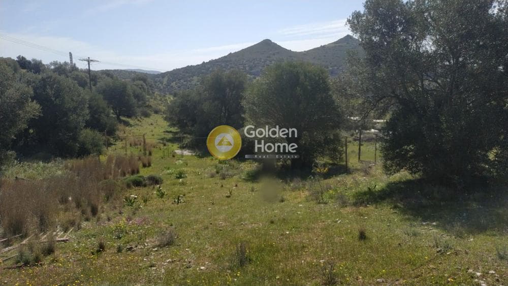 Αγροτεμάχιο στην Θορικό, Λαύριο — Φωτογραφία 5 από 8