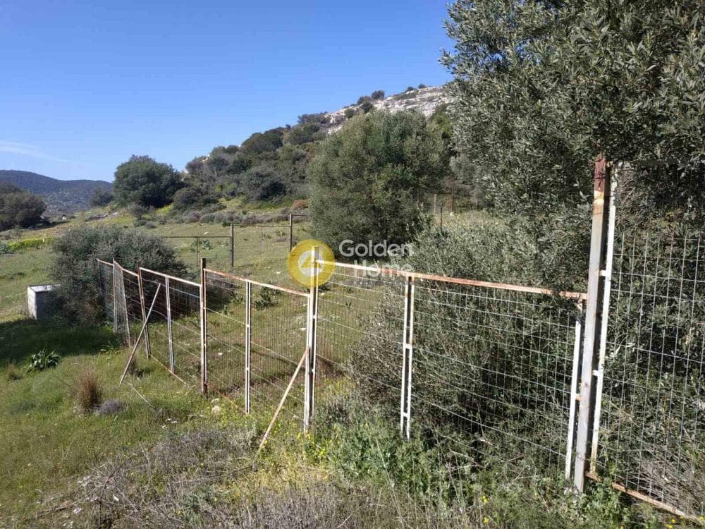 Αγροτεμάχιο στην Θορικό, Λαύριο — Φωτογραφία 7 από 8