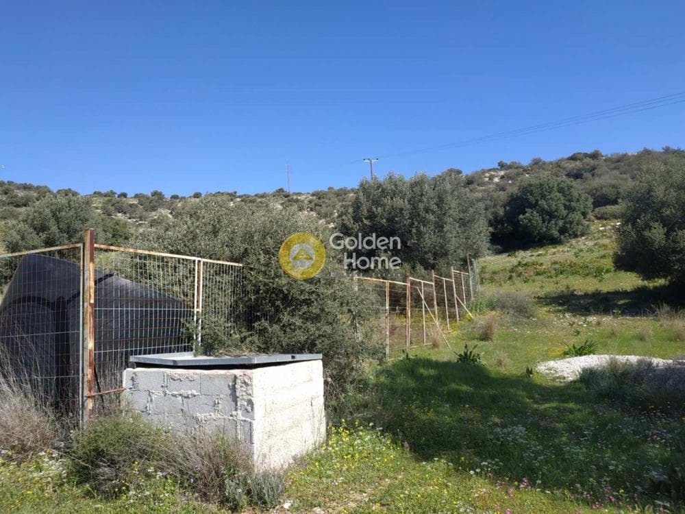 Αγροτεμάχιο στην Θορικό, Λαύριο — Φωτογραφία 8 από 8