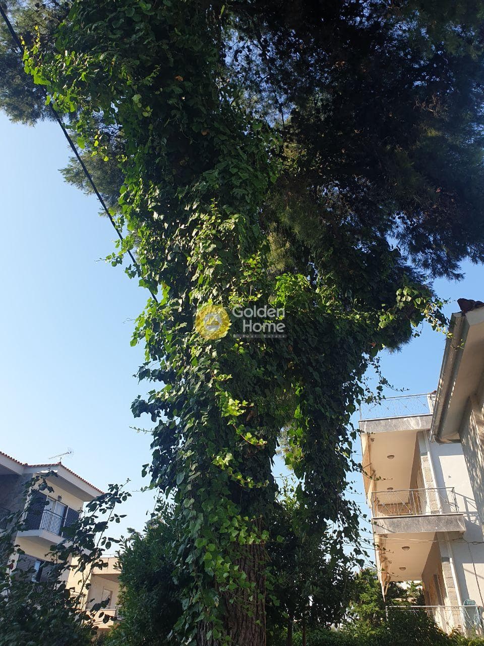 Μονοκατοικία στην Αδάμες (Οικισμός Πελοποννησίων), Κηφισιά — Φωτογραφία 10 από 48