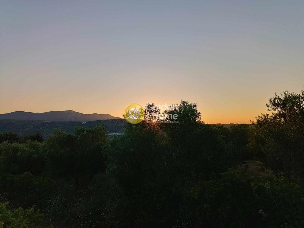 Οικόπεδο στην Κουνάβοι, Αρχάνες — Φωτογραφία 2 από 3