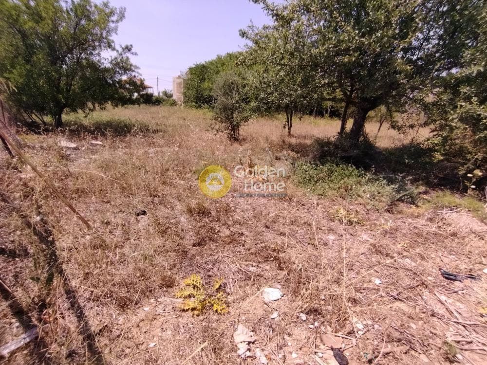 Οικόπεδο στην Άνω Μπαλάνα, Παλλήνη — Φωτογραφία 1 από 3