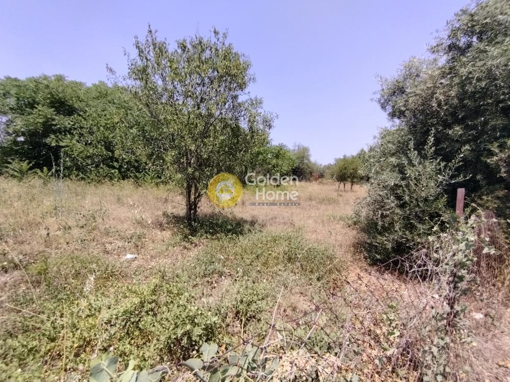 Οικόπεδο στην Άνω Μπαλάνα, Παλλήνη — Φωτογραφία 3 από 3