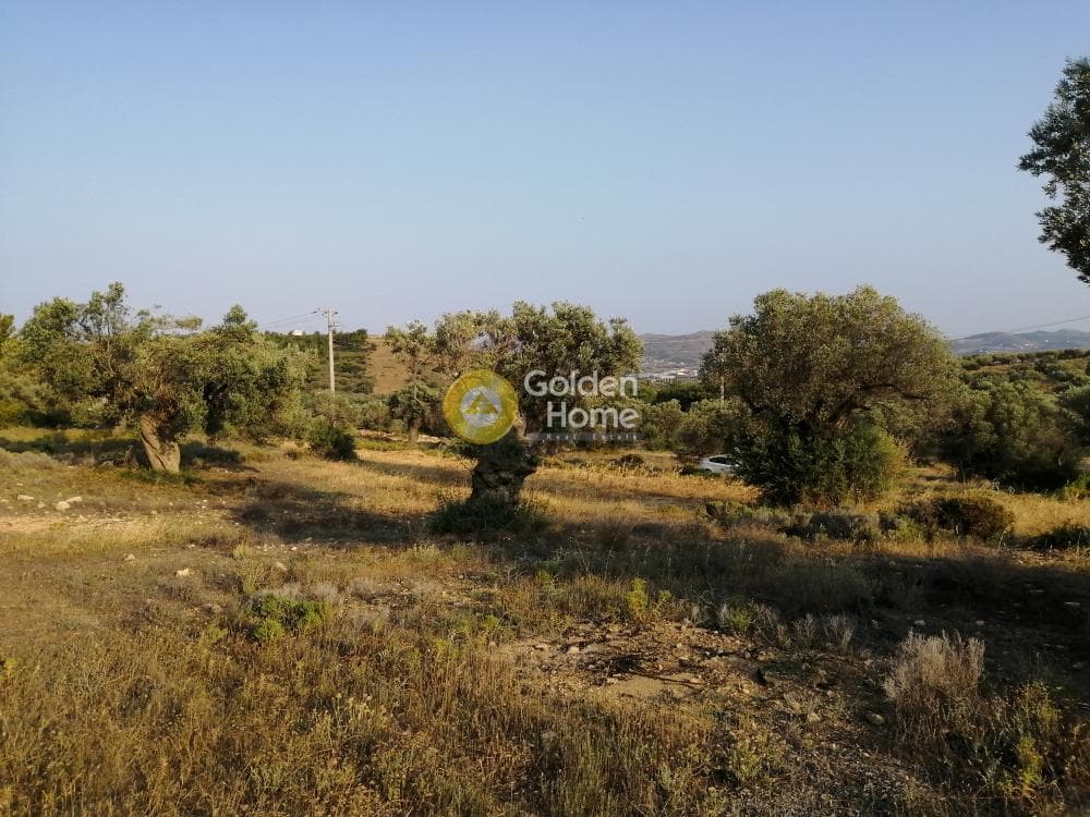 Parcel in Rountzeri Lemprou, Keratea — Photo 1 of 12