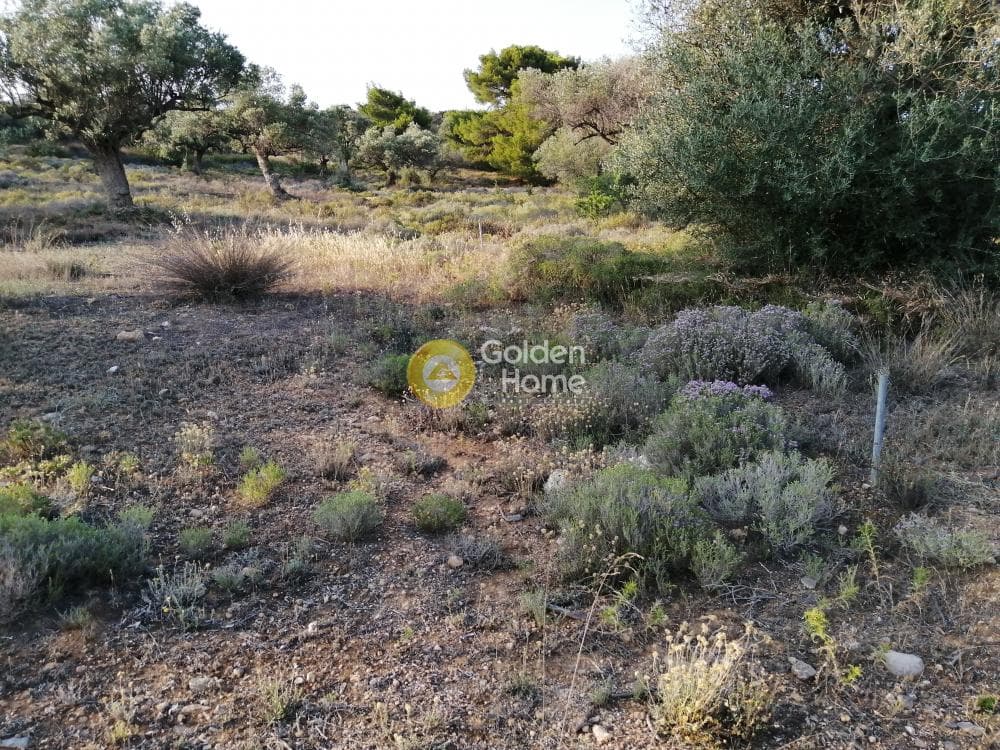 Parcel in Rountzeri Lemprou, Keratea — Photo 4 of 12