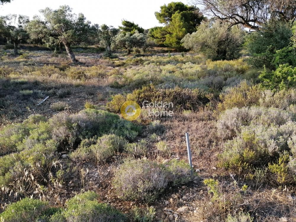 Parcel in Rountzeri Lemprou, Keratea — Photo 2 of 12