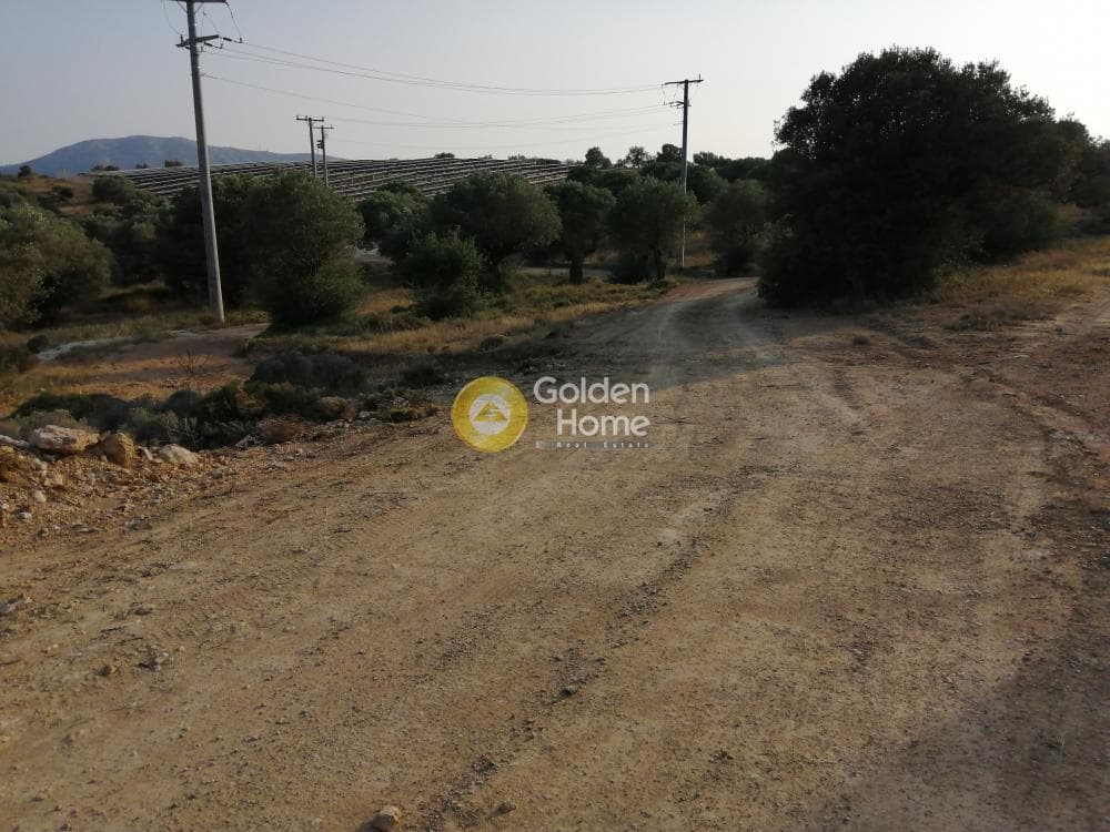 Parcel in Rountzeri Lemprou, Keratea — Photo 11 of 12