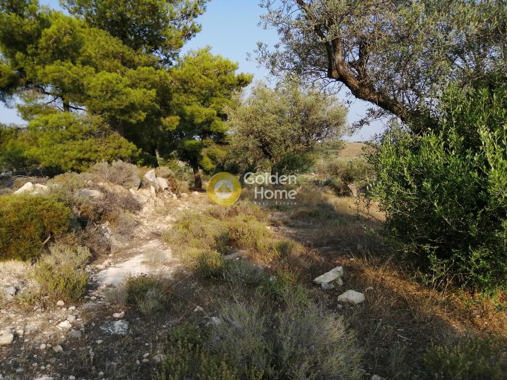 Parcel in Rountzeri Lemprou, Keratea — Photo 5 of 12