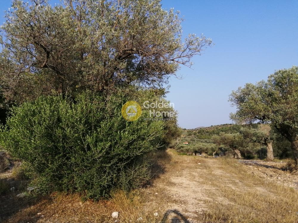 Parcel in Rountzeri Lemprou, Keratea — Photo 6 of 12