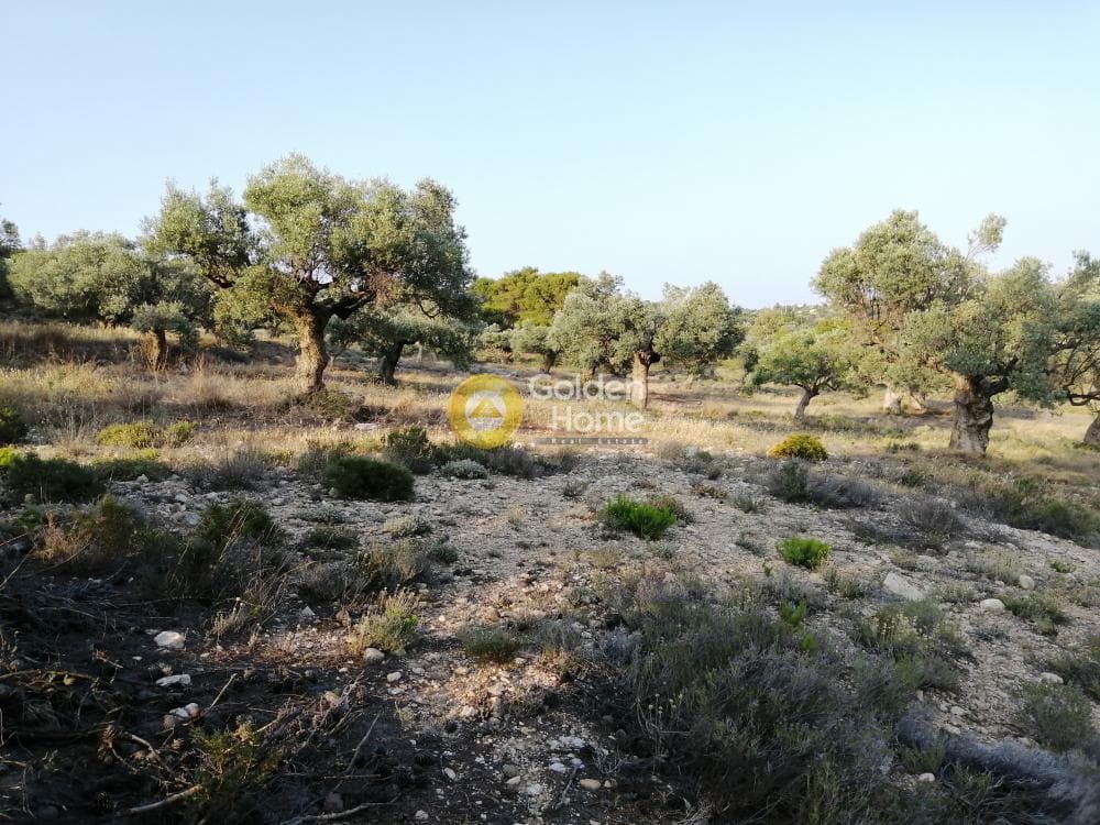 Parcel in Rountzeri Lemprou, Keratea — Photo 7 of 12