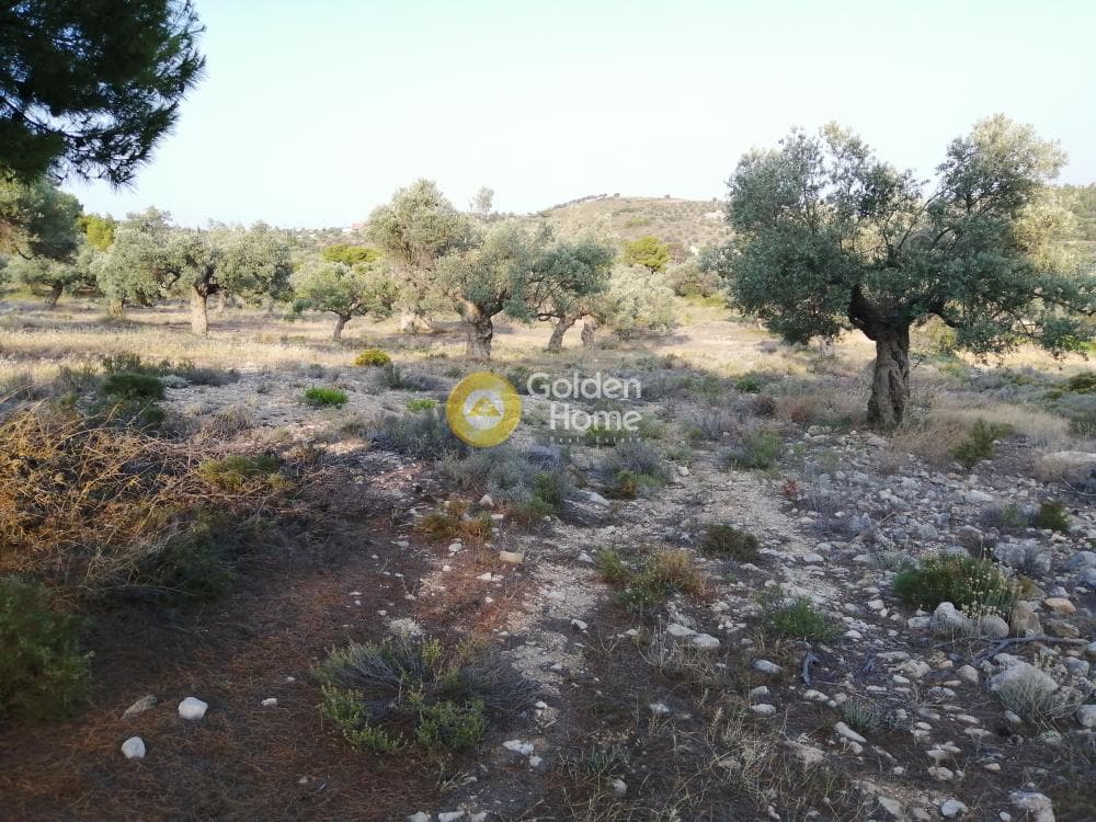 Parcel in Rountzeri Lemprou, Keratea — Photo 9 of 12