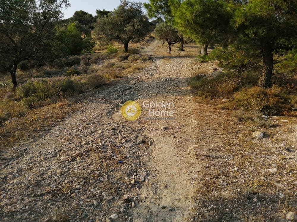 Parcel in Rountzeri Lemprou, Keratea — Photo 10 of 12