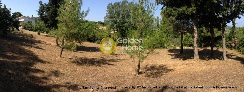 Μονοκατοικία στην Καλάνδρα, Κασσάνδρα — Φωτογραφία 18 από 22