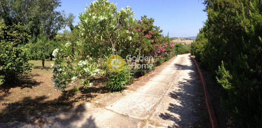 Μονοκατοικία στην Καλάνδρα, Κασσάνδρα — Φωτογραφία 22 από 22