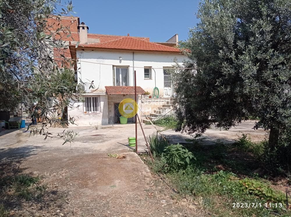 House in Center, Markopoulo — Photo 4 of 15