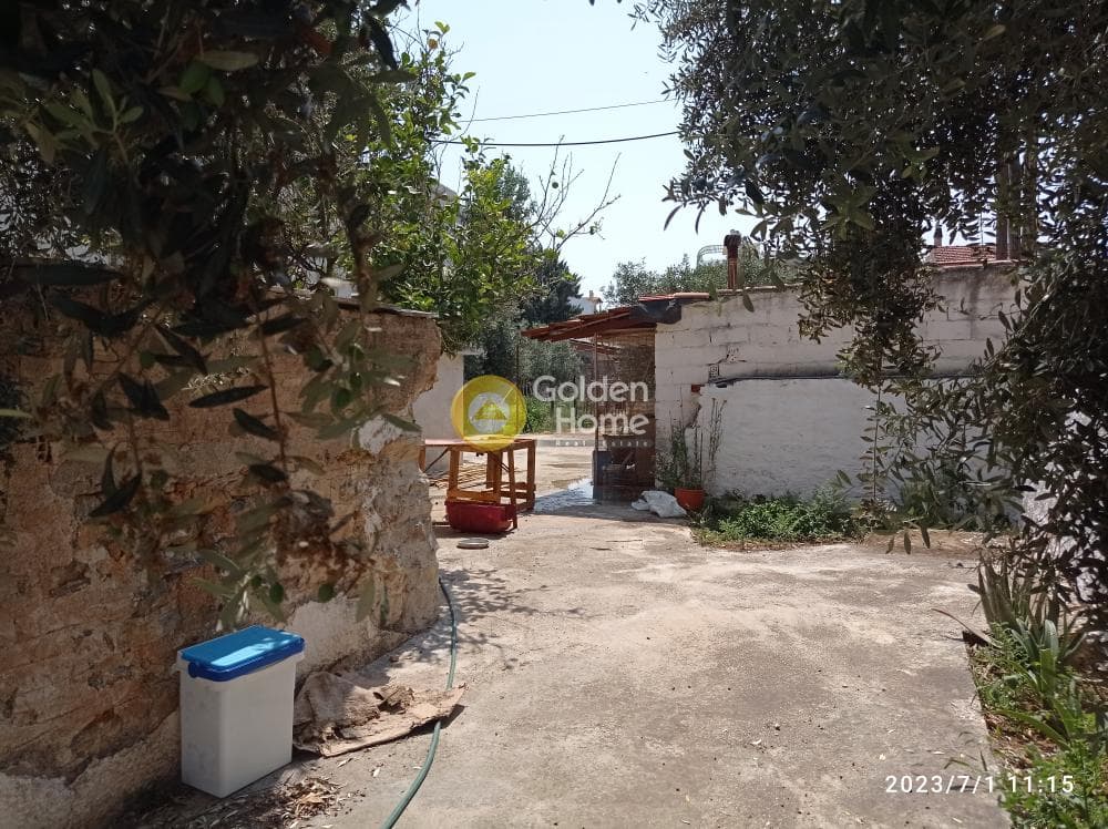 House in Center, Markopoulo — Photo 14 of 15