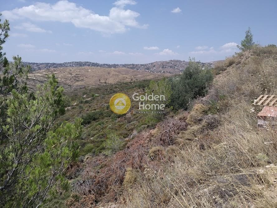 Οικόπεδο στην Δασαμάρι, Πικέρμι — Φωτογραφία 3 από 6