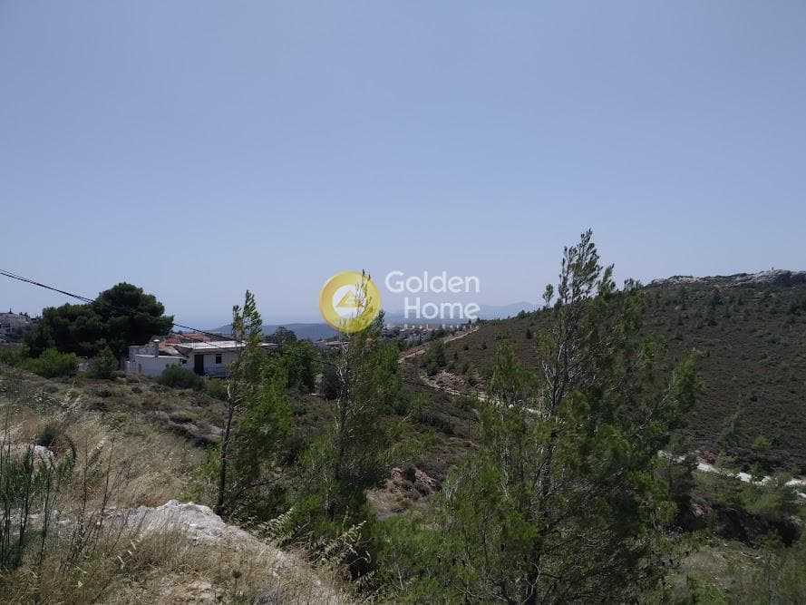 Οικόπεδο στην Δασαμάρι, Πικέρμι — Φωτογραφία 5 από 6