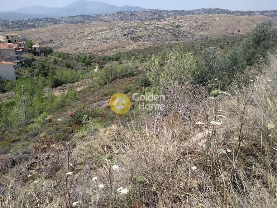 Οικόπεδο στην Δασαμάρι, Πικέρμι — Φωτογραφία 6 από 6