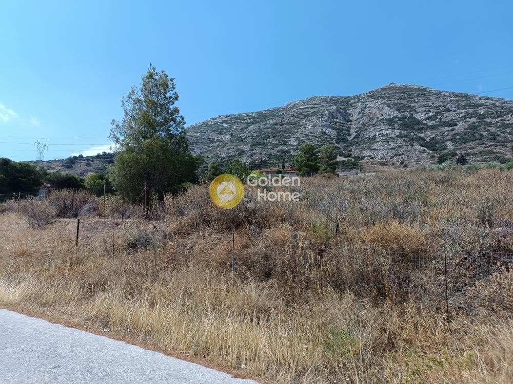 Οικόπεδο στην Βένιο Δασκαλειού, Κερατέα — Φωτογραφία 3 από 8