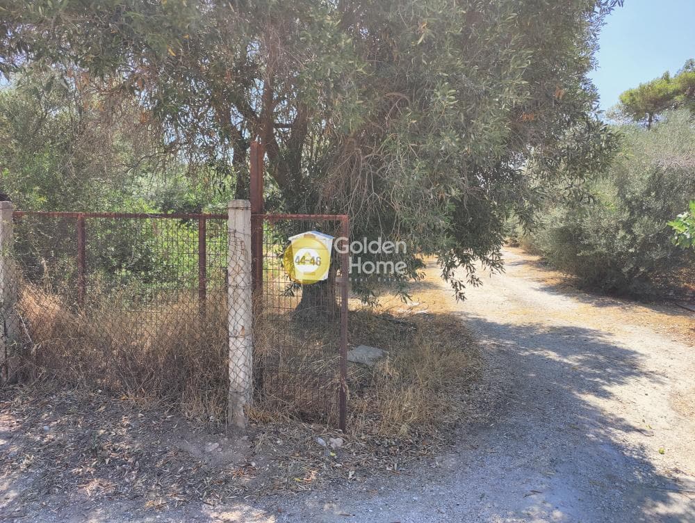 Οικόπεδο στην Καλύβια, Καλύβια Θορικού — Φωτογραφία 1 από 3