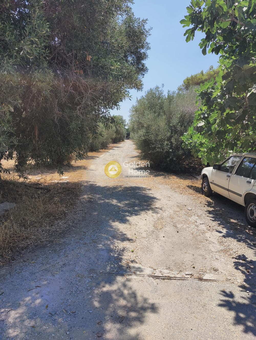 Οικόπεδο στην Καλύβια, Καλύβια Θορικού — Φωτογραφία 3 από 3
