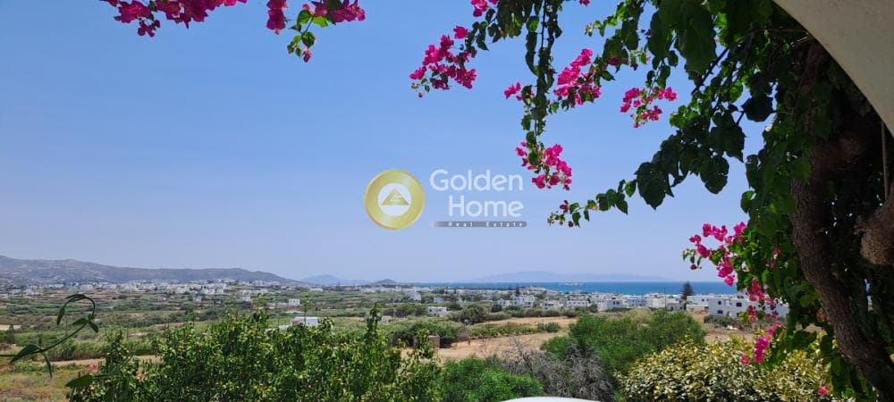 Μονοκατοικία στην Αγία Αννα, Νάξος — Φωτογραφία 21 από 33