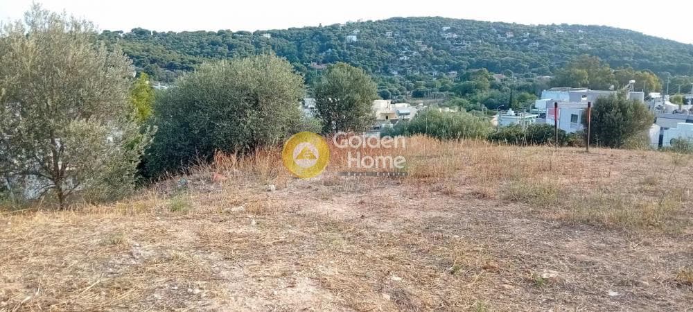 Building Plot in Ikismos Aiolos, Rafina — Photo 8 of 9