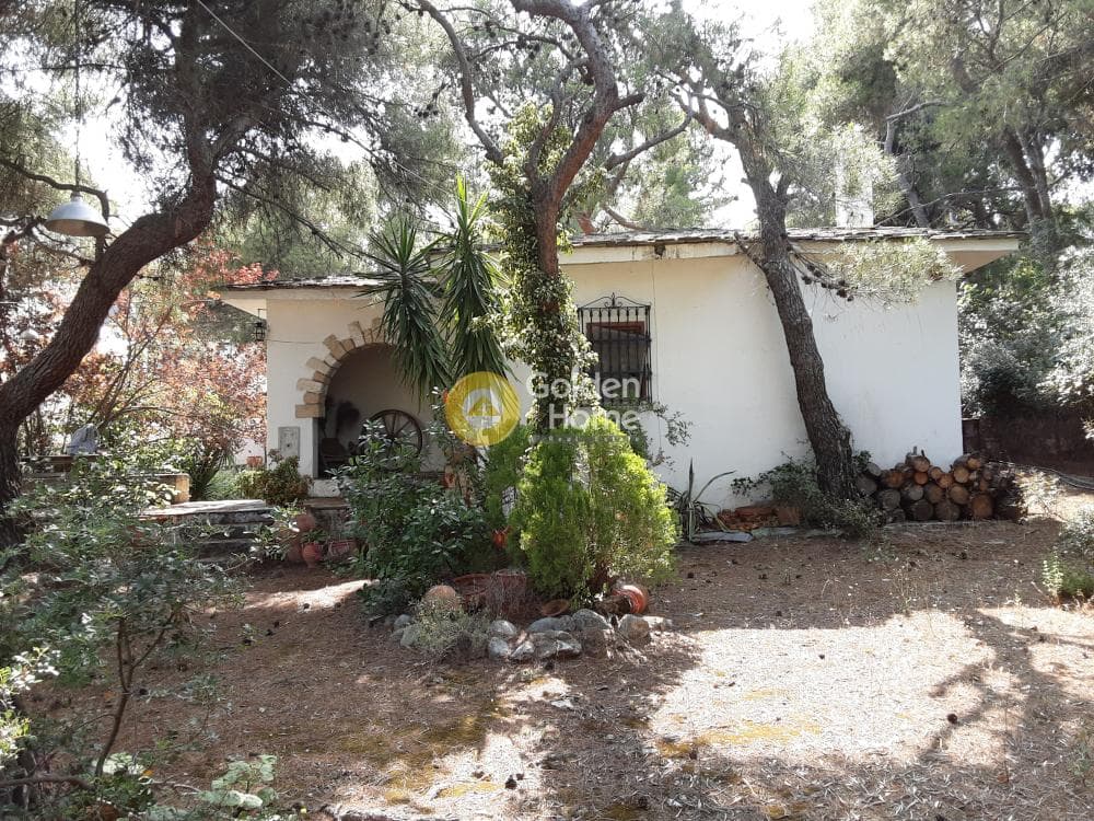 House in Megala Sxoinia A, Acharnes — Photo 1 of 35