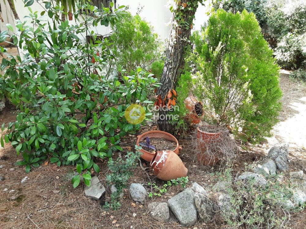House in Megala Sxoinia A, Acharnes — Photo 3 of 35