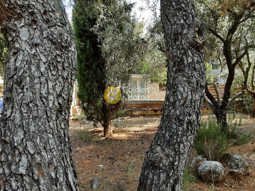 House in Megala Sxoinia A, Acharnes — Photo 6 of 35