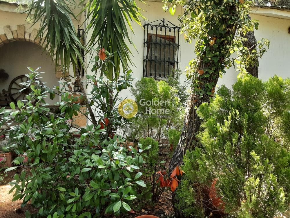 House in Megala Sxoinia A, Acharnes — Photo 12 of 35