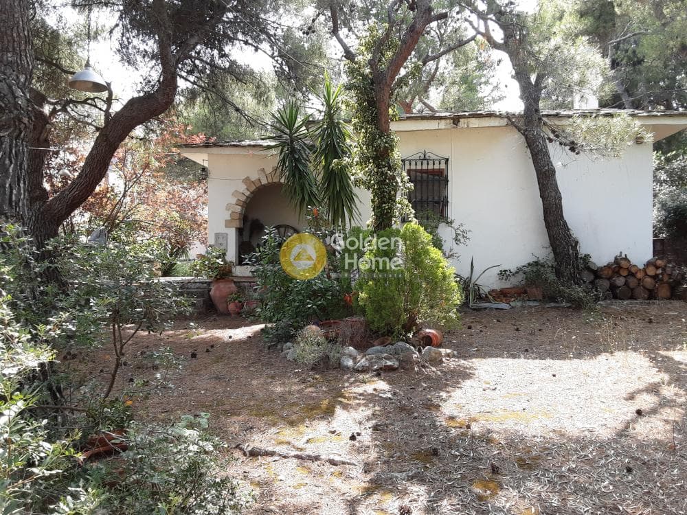 House in Megala Sxoinia A, Acharnes — Photo 13 of 35