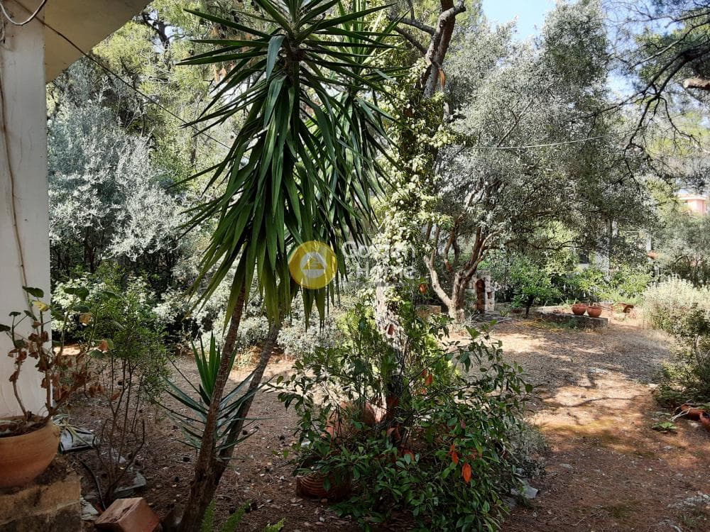 House in Megala Sxoinia A, Acharnes — Photo 15 of 35