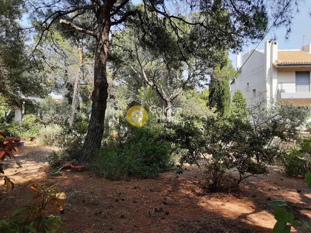 House in Megala Sxoinia A, Acharnes — Photo 16 of 35
