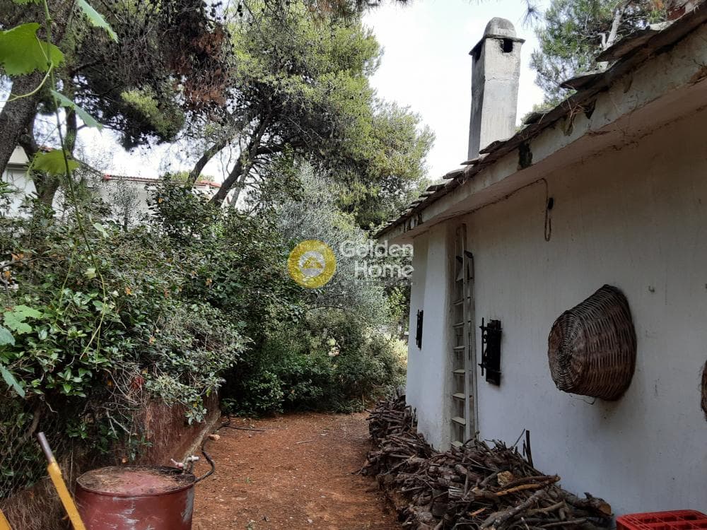 House in Megala Sxoinia A, Acharnes — Photo 27 of 35