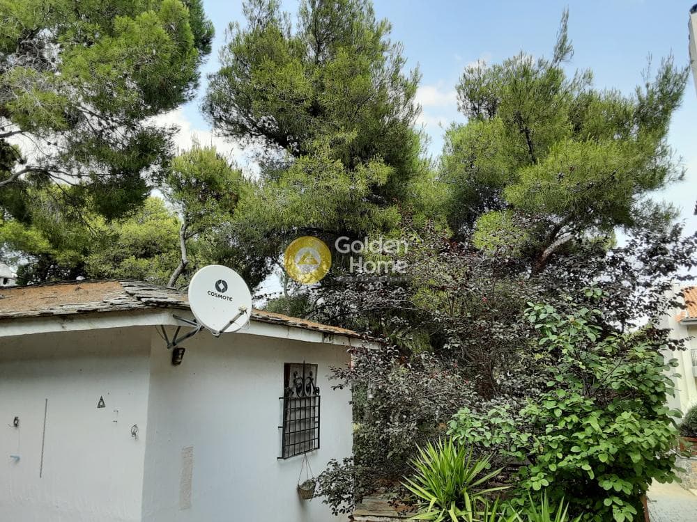 House in Megala Sxoinia A, Acharnes — Photo 29 of 35