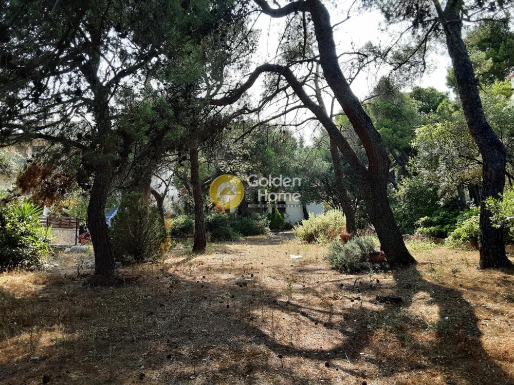 Οικόπεδο στην Μεγάλα Σχοινία Α, Αχαρνές — Φωτογραφία 3 από 9
