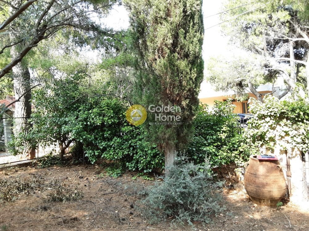Οικόπεδο στην Μεγάλα Σχοινία Α, Αχαρνές — Φωτογραφία 5 από 9